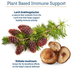 Arabinogalactan plant nutrient highlighted in Rx Vitamins Immuno Support.