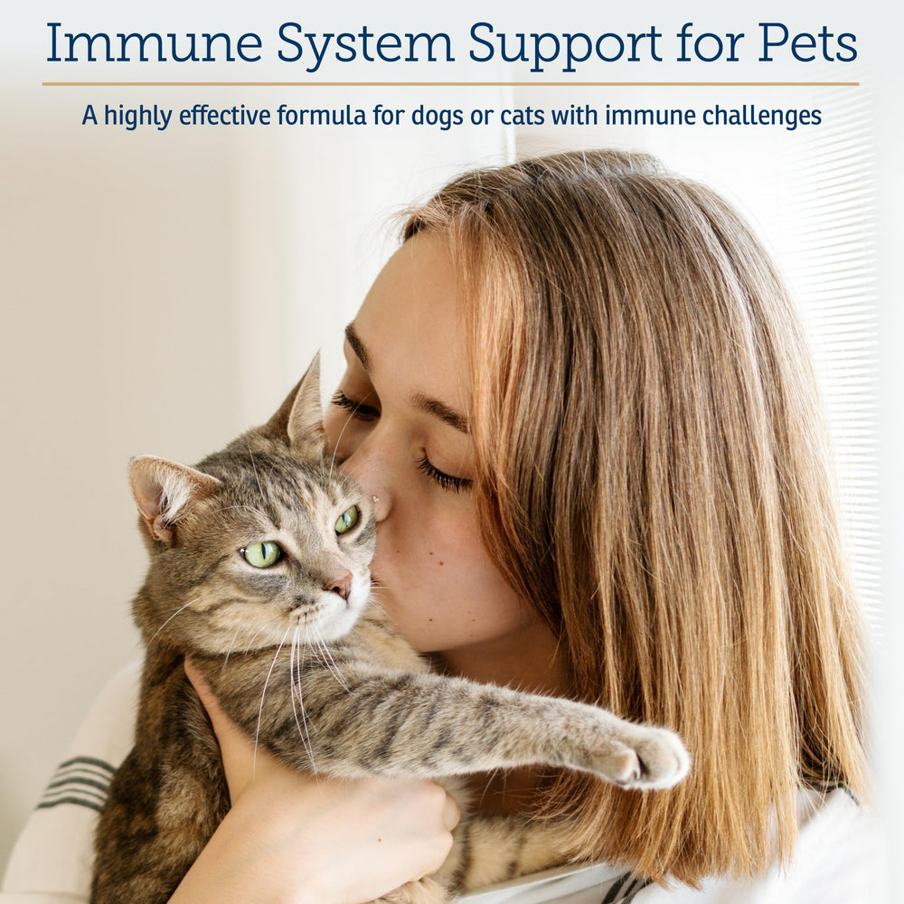 Rx Vitamins Liquid Immuno cat and dog usage shows simple immune support.