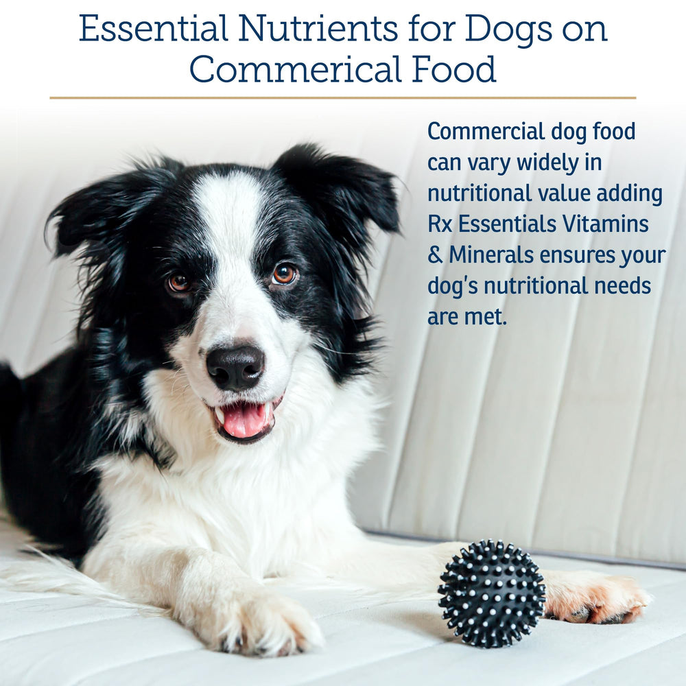 Rx Vitamins milk thistle dog liver-support bottle label highlights liver-friendly nutrients