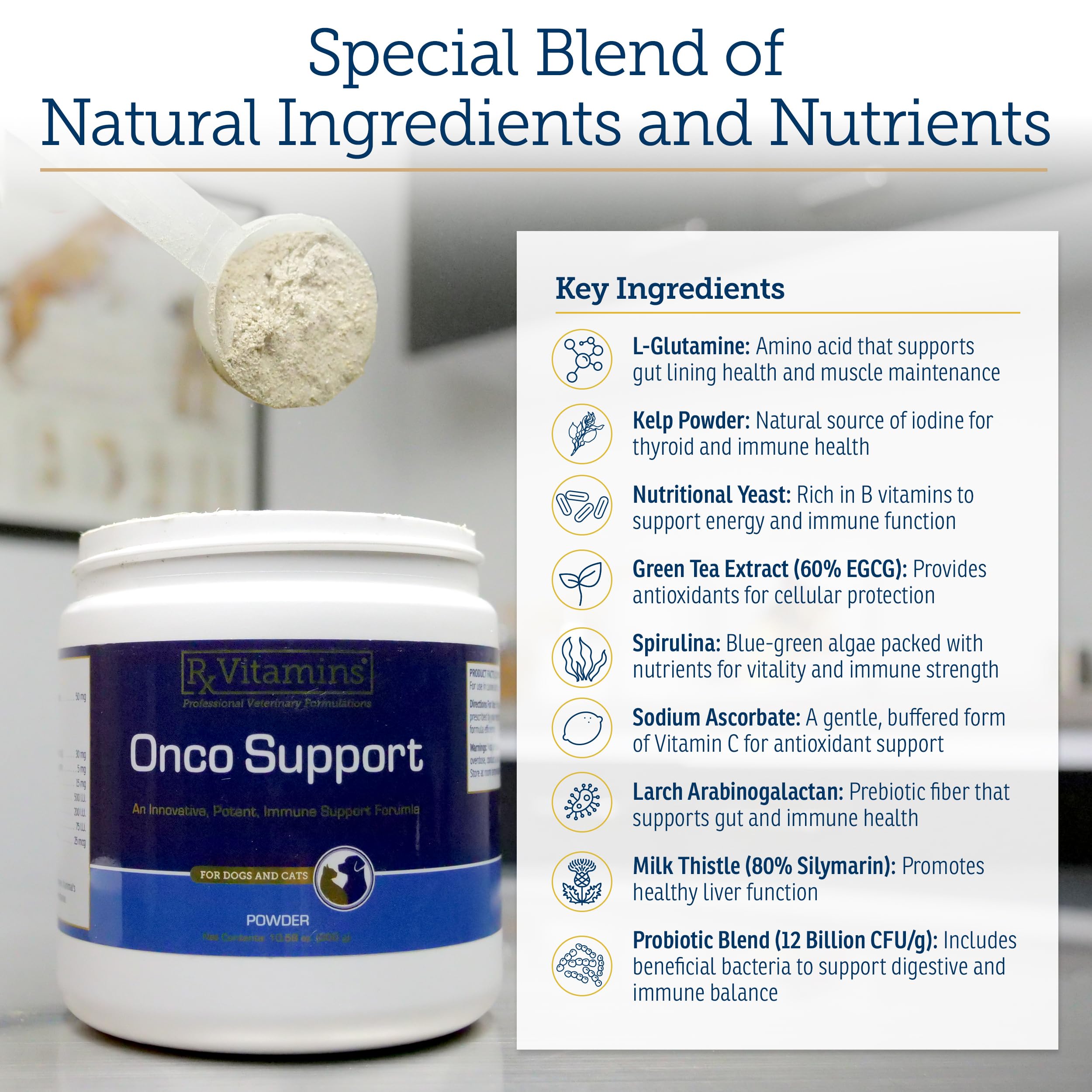 Rx Vitamins Onco Support spirulina dog image highlights immune and energy support.