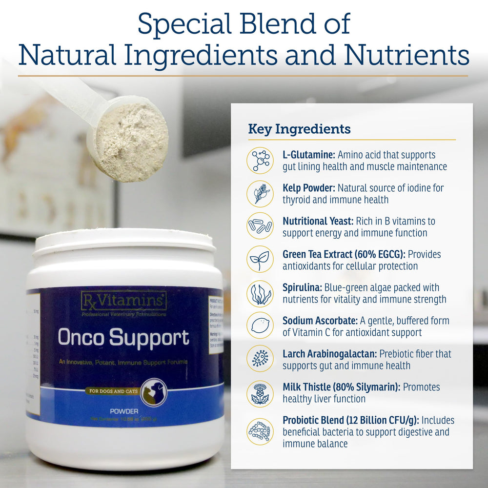 Rx Vitamins Onco Support spirulina dog image highlights immune and energy support.