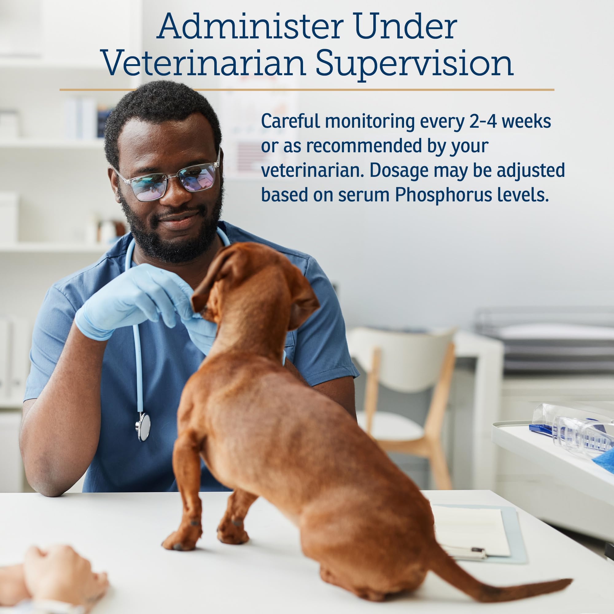 Rx Vitamins Phos-Bind cat dish setup illustrating effortless supplement integration.