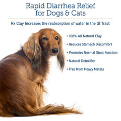 Rx Vitamins Rx Edible Clay Powder label shows dosage guidance for diarrhea management.