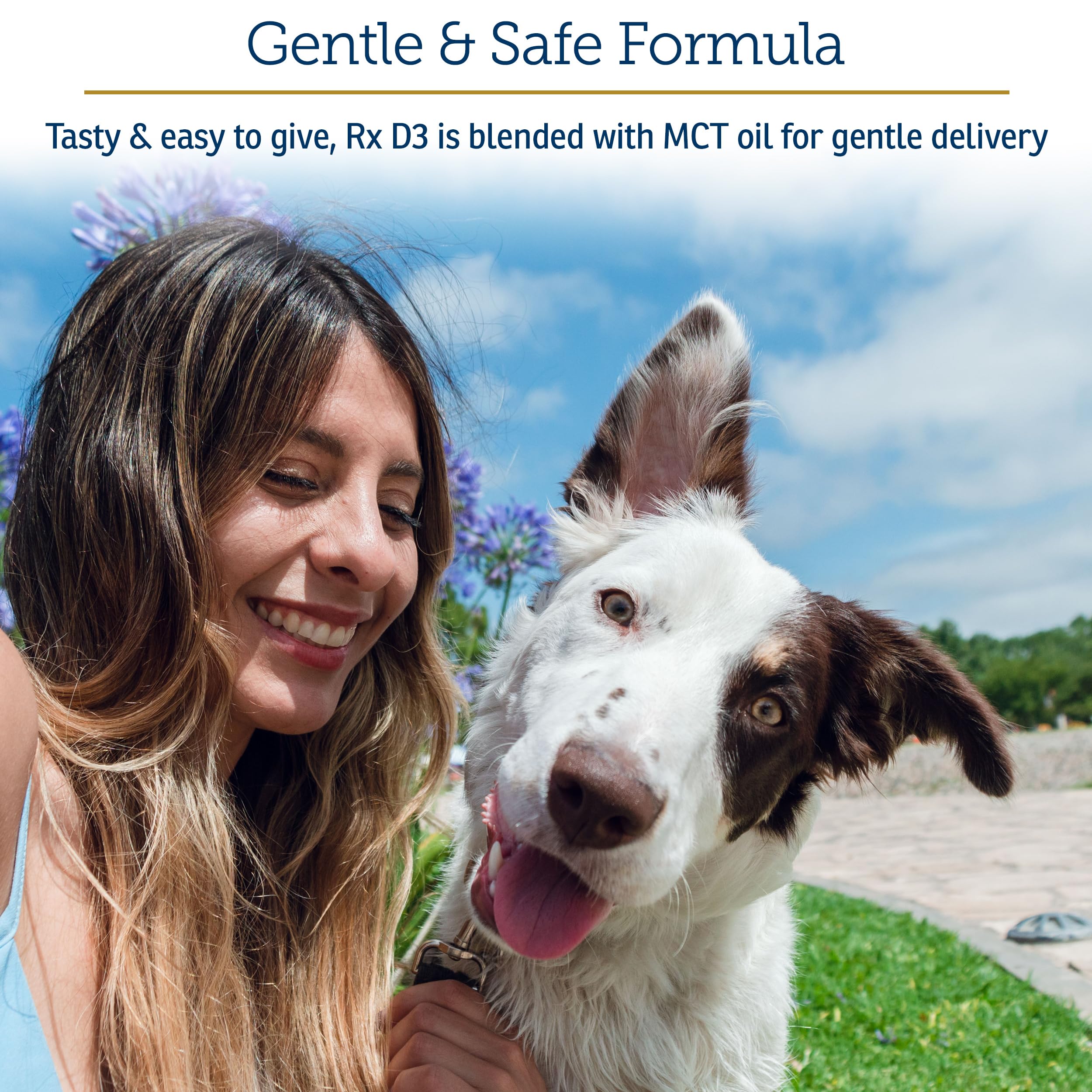 Rx Vitamins Rx D3 dog-cat-usage illustration shows easy administration for pets.