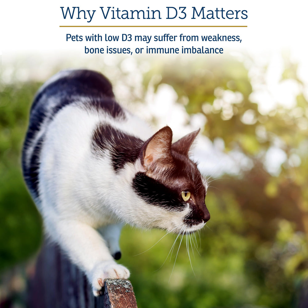 Rx Vitamins Rx D3 droplet-closeup shows a precise D3 drop.