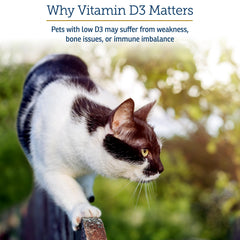 Rx Vitamins Rx D3 droplet-closeup shows a precise D3 drop.