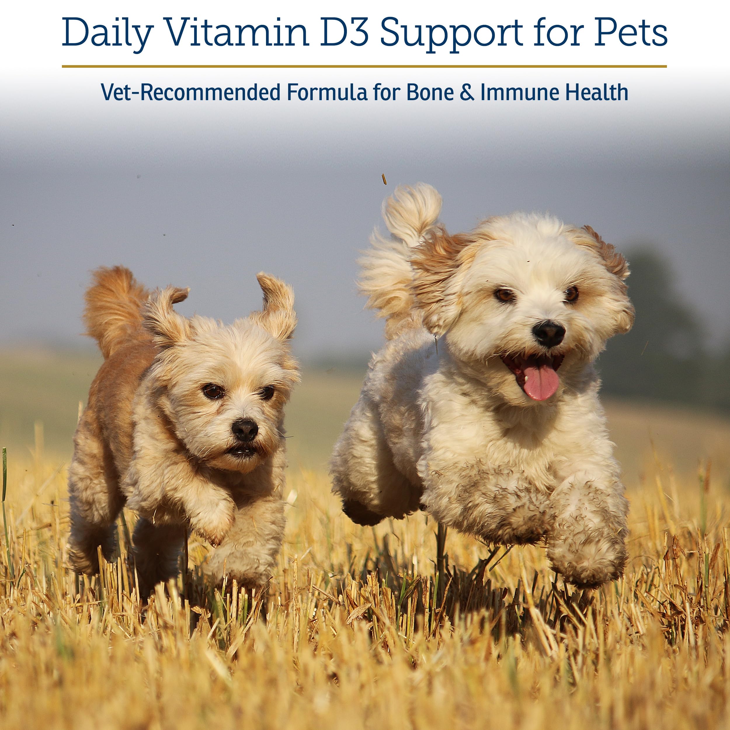 Rx Vitamins Rx D3 dropper-dispense demonstrates precise dosing for pets.