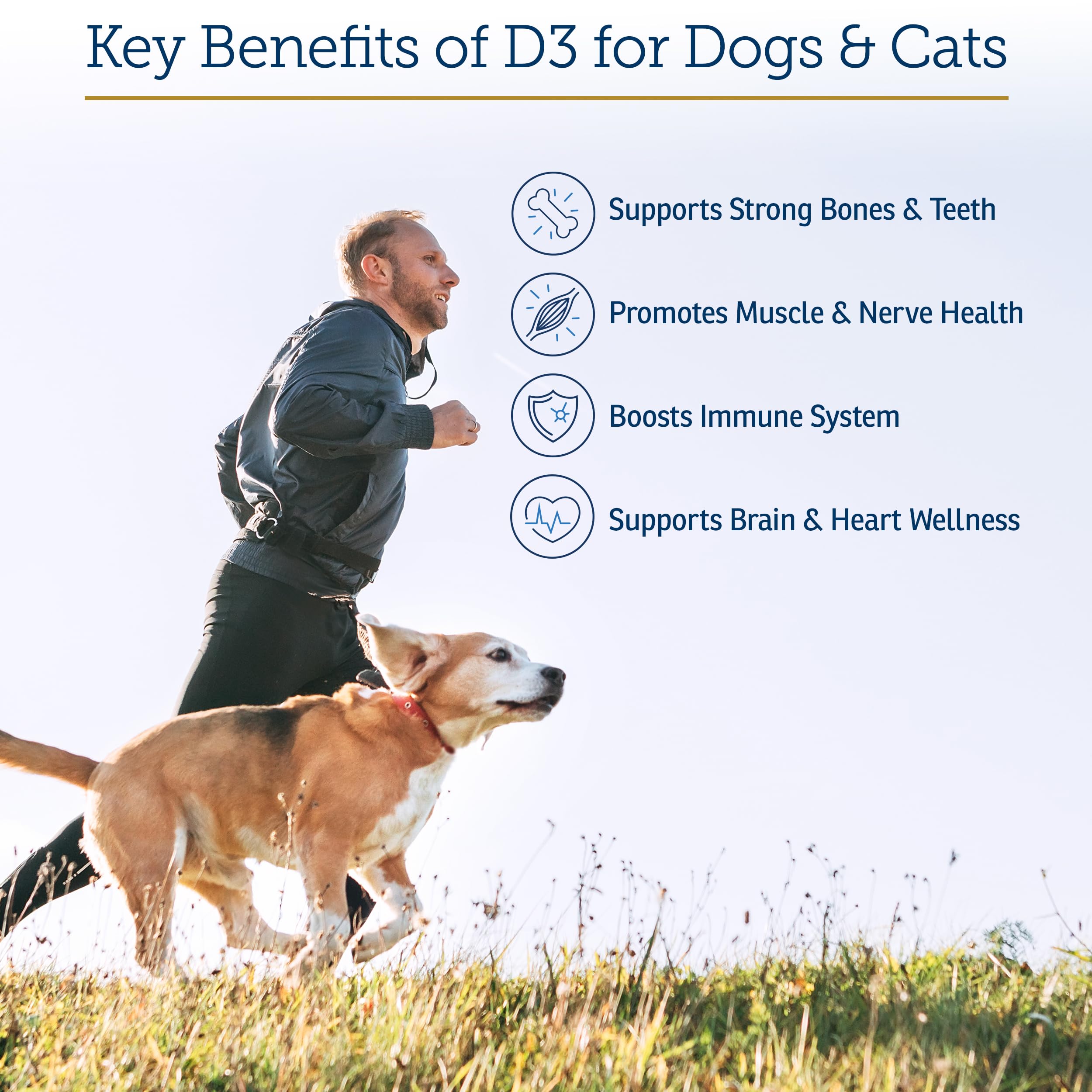 Rx Vitamins Rx D3 MCT-oil-base suggests fast, safe nutrient delivery.