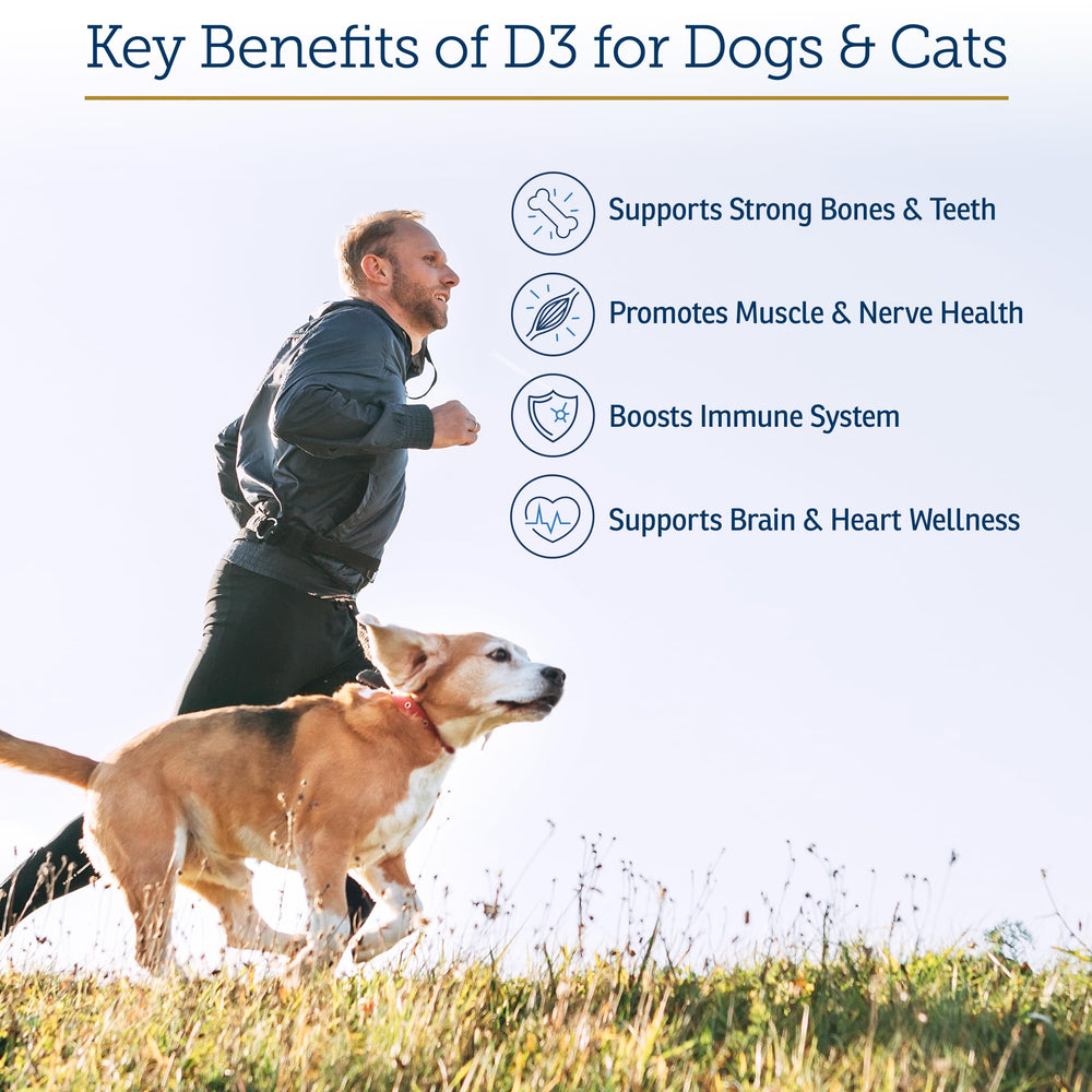 Rx Vitamins Rx D3 MCT-oil-base suggests fast, safe nutrient delivery.