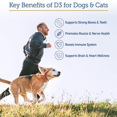 Rx Vitamins Rx D3 MCT-oil-base suggests fast, safe nutrient delivery.