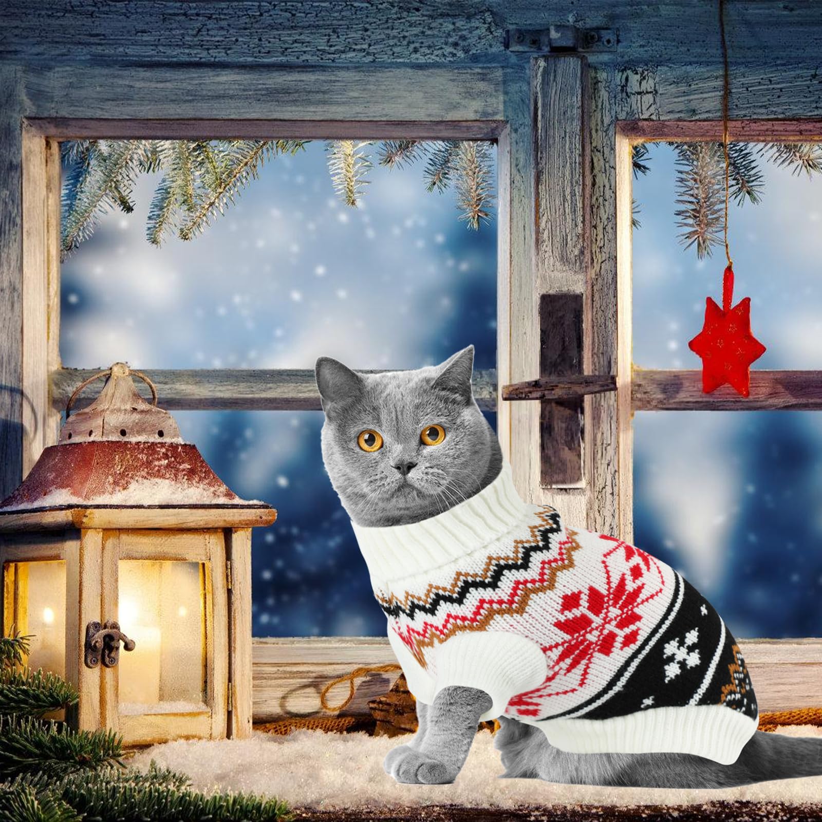 Rypet cat care-wash knitwear—machine washable for quick, simple cleaning.
