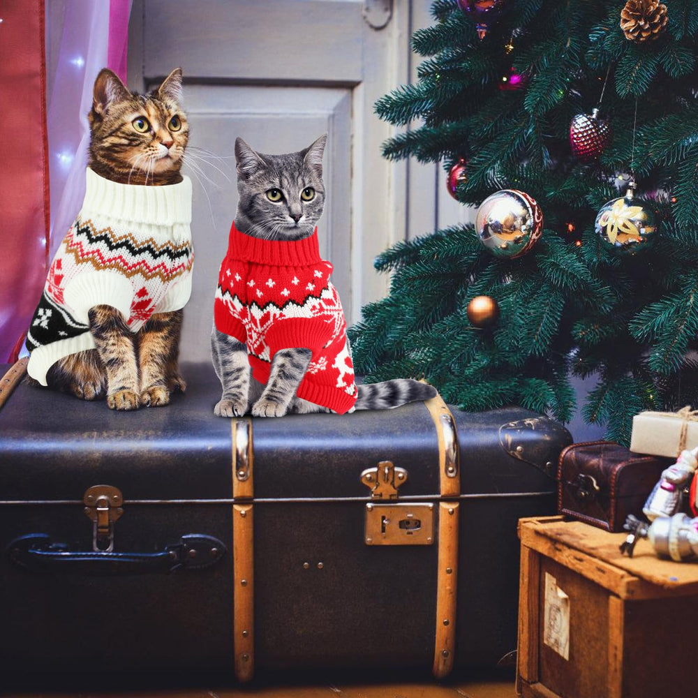 Rypet cat christmas-sweater-photo-shoot—great for holiday memories.