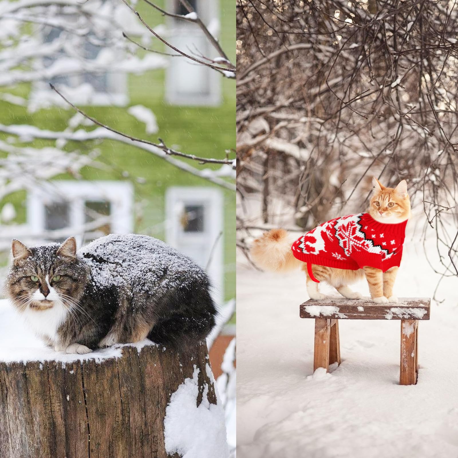 Rypet cat reindeer motif knitwear—festive look for Christmas celebrations.