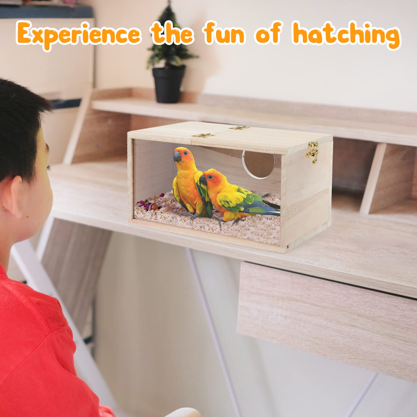 Rypet parakeet nesting box stable mounting secures placement inside or outside cage