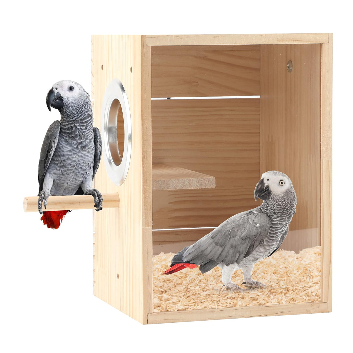 Rypet transparent bird nest box with clear view for monitoring nesting progress.