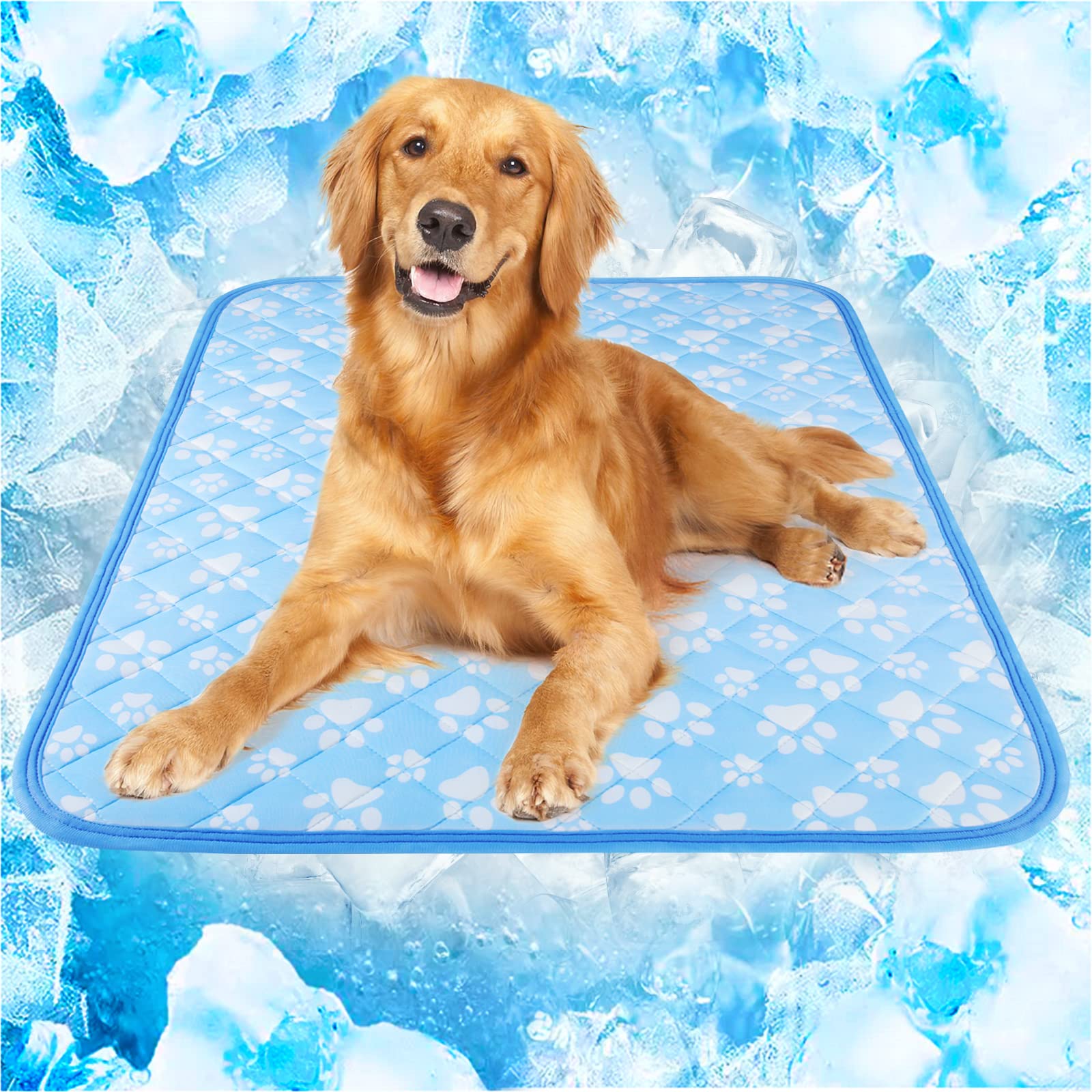 Rywell cooling mat for dogs extra large in living room keeps a dog comfortable on hot days.