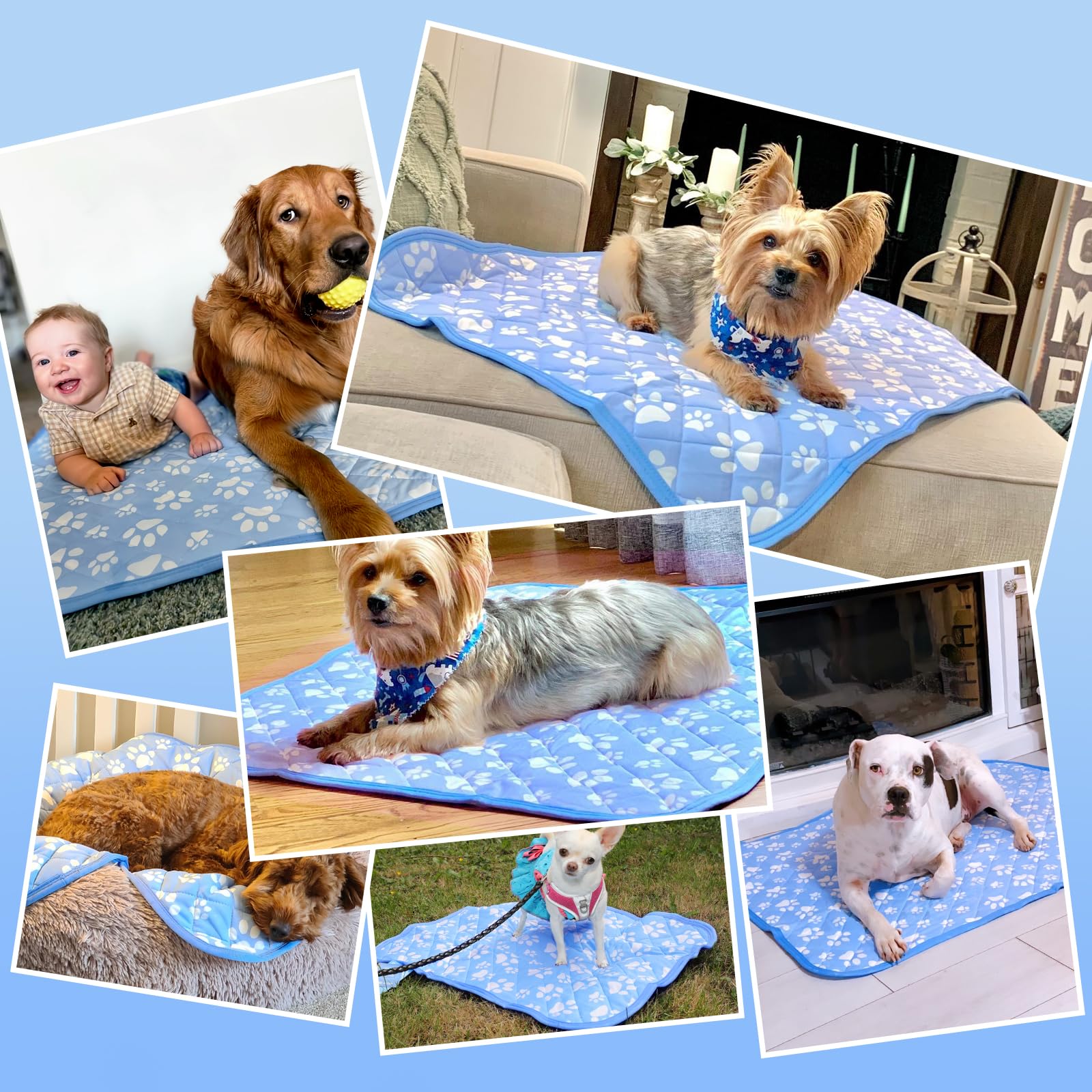 Rywell dog bed in crate laid out for camping or car trips.