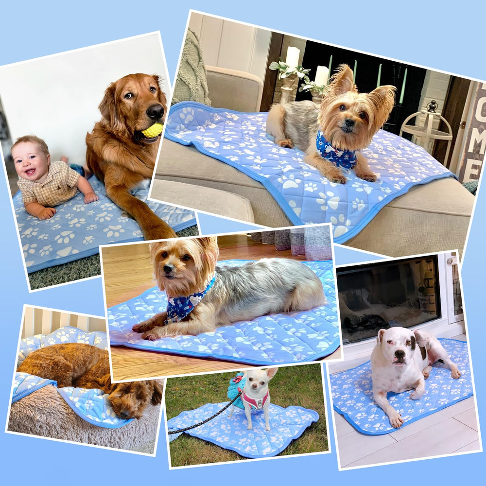 Rywell dog bed in crate laid out for camping or car trips.