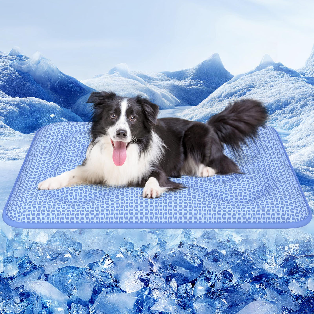 Rywell dog cooling mat with Arc-Chill 3.0 for fast cooling on hot days.