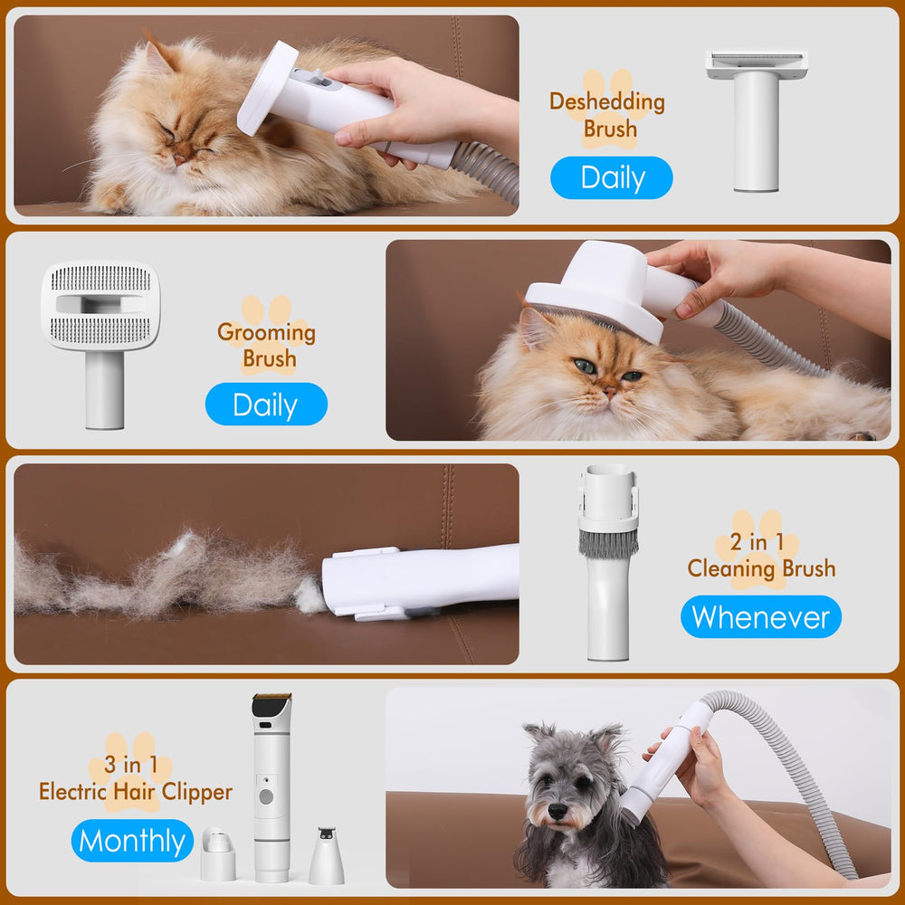 Rywell low-noise design helps anxious pets feel calm during grooming sessions.