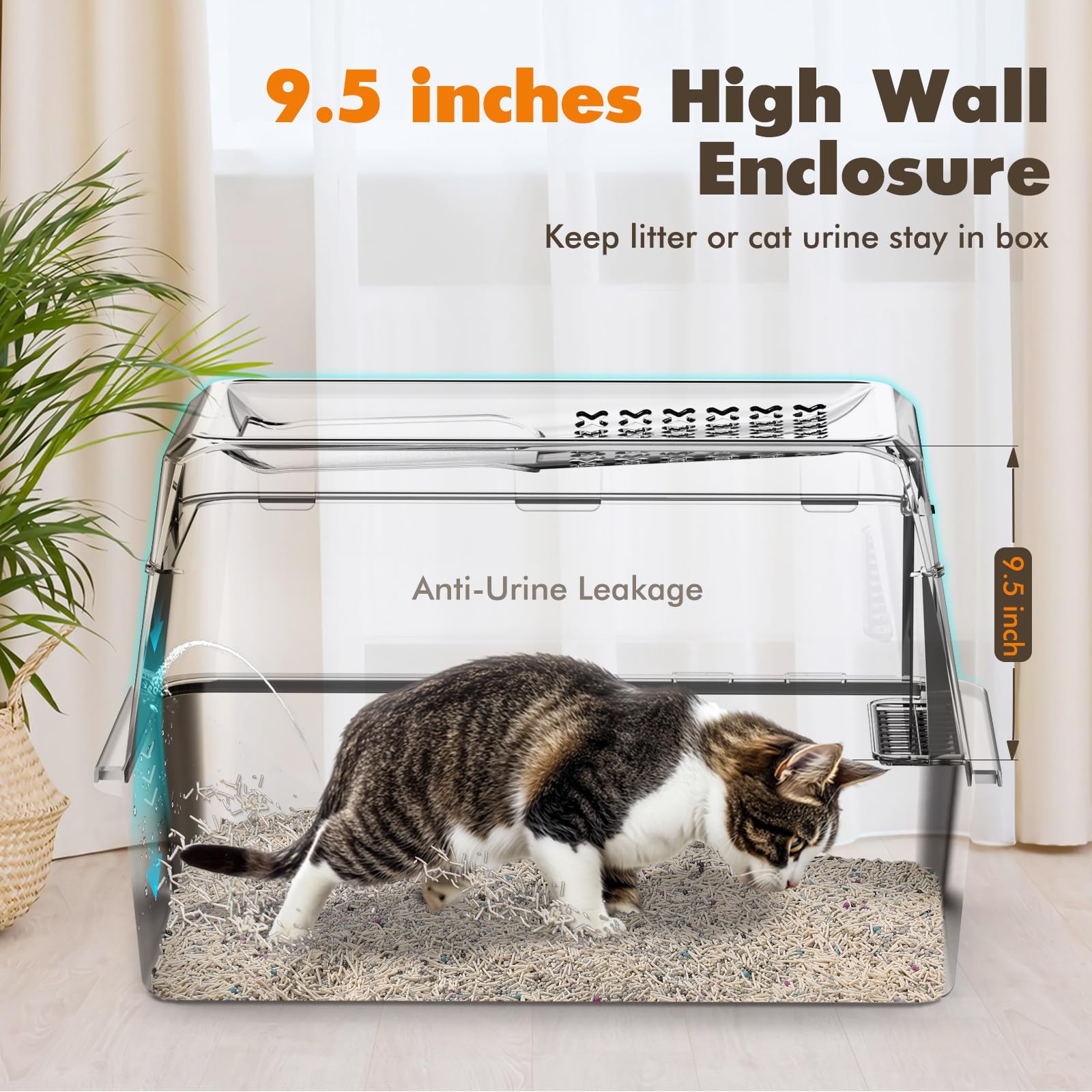 Rywell XL front-entry with pedal enables easy access for small or senior cats.