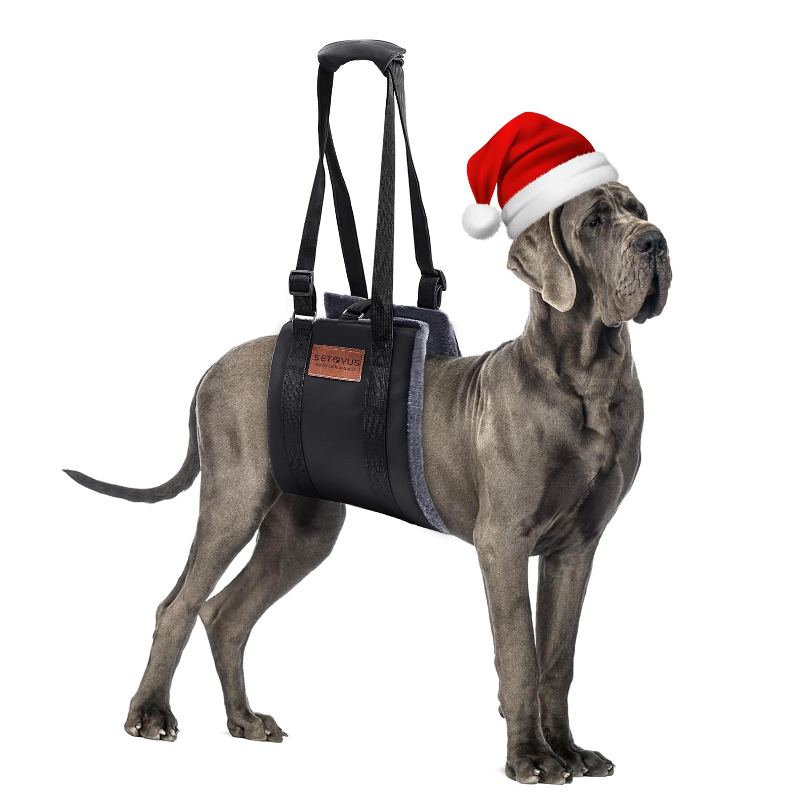 S-ETOVUS dog sling used in everyday lifting scenarios