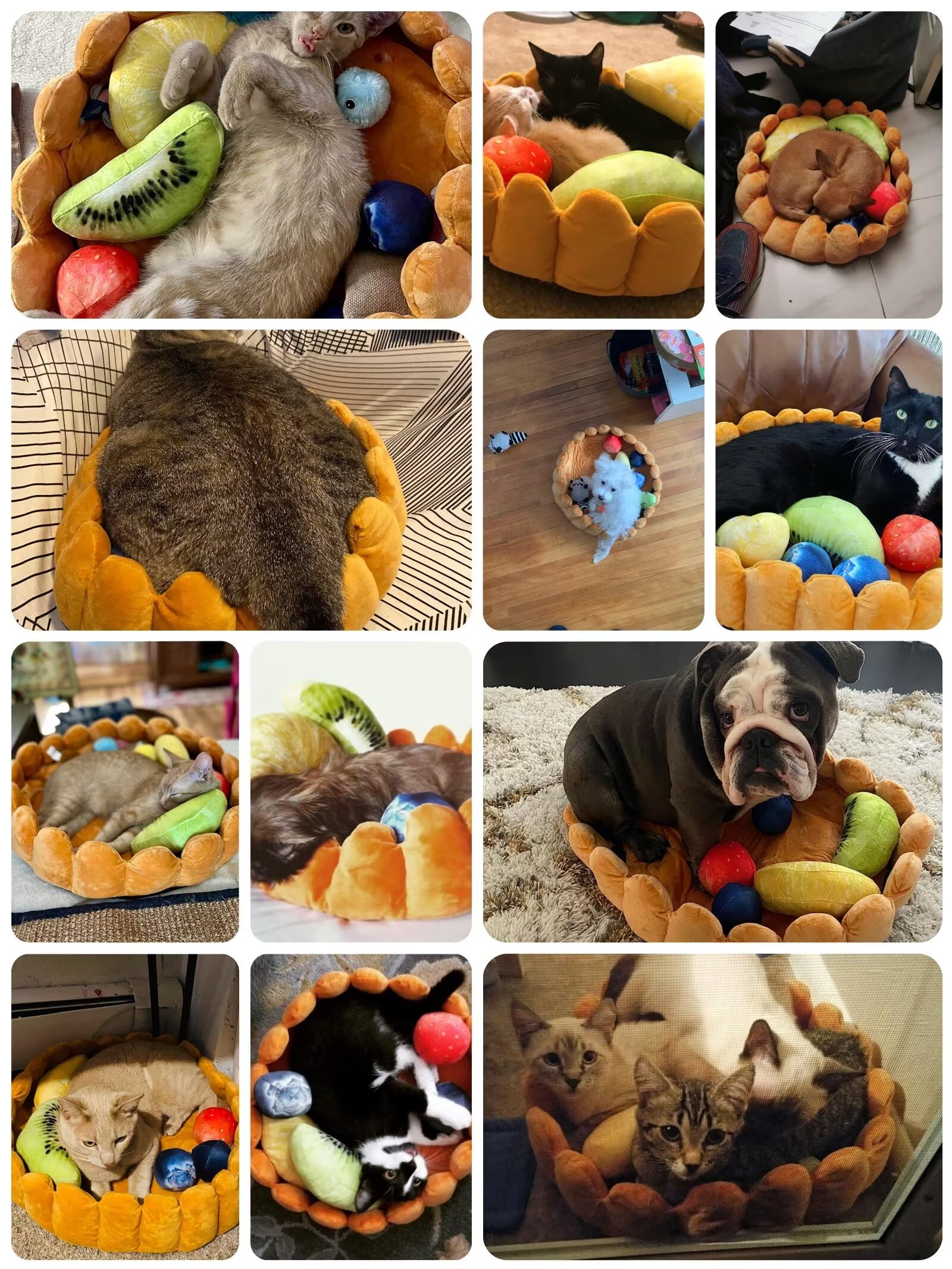 S-Lifeeling Tart dog-cat mat laid on floor shows versatile home use.