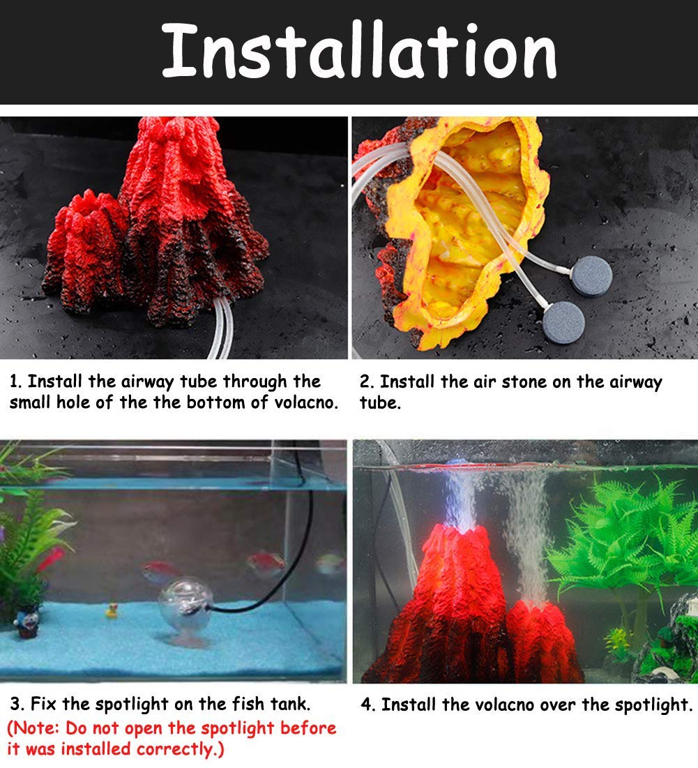 S-Lifeeling freshwater and saltwater compatibility supports versatile setups