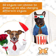 Sadnyy dog tie polka-dots closeup for festive pet photography