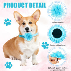 Sadnyy dog collar bows chiffon texture showing lightweight embellishment.