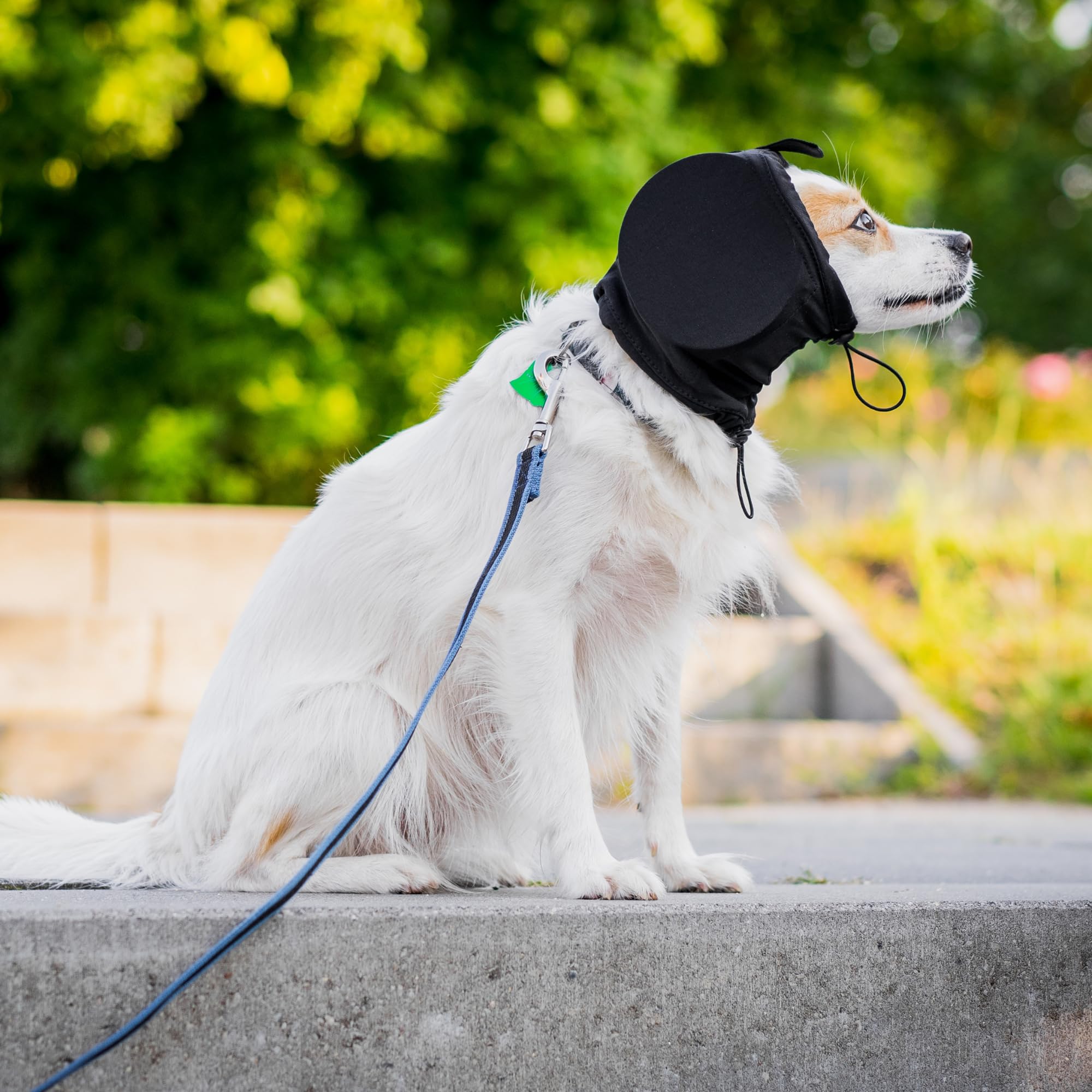 Safe Dogs Ears durable outer blue shell withstands regular use.