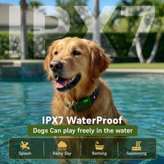 SafeShock dog collar IPX7 waterproofing for rain and water play sessions.