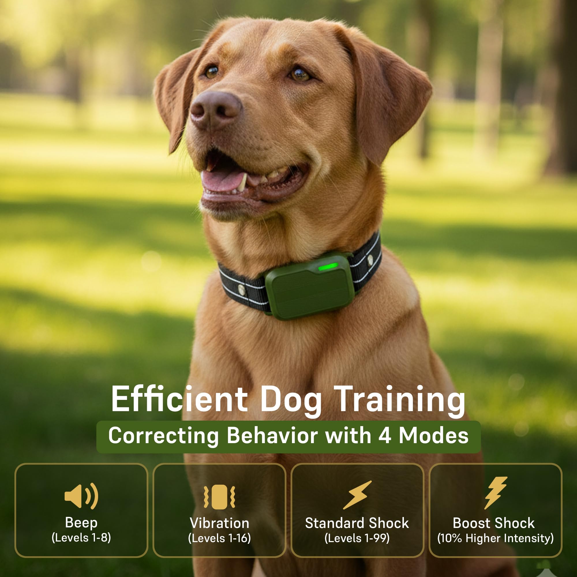 SafeShock dog training collar suitable for small, medium, and large dogs during training.