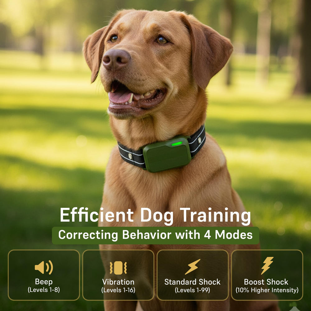 SafeShock dog training collar suitable for small, medium, and large dogs during training.