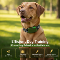 SafeShock dog training collar suitable for small, medium, and large dogs during training.