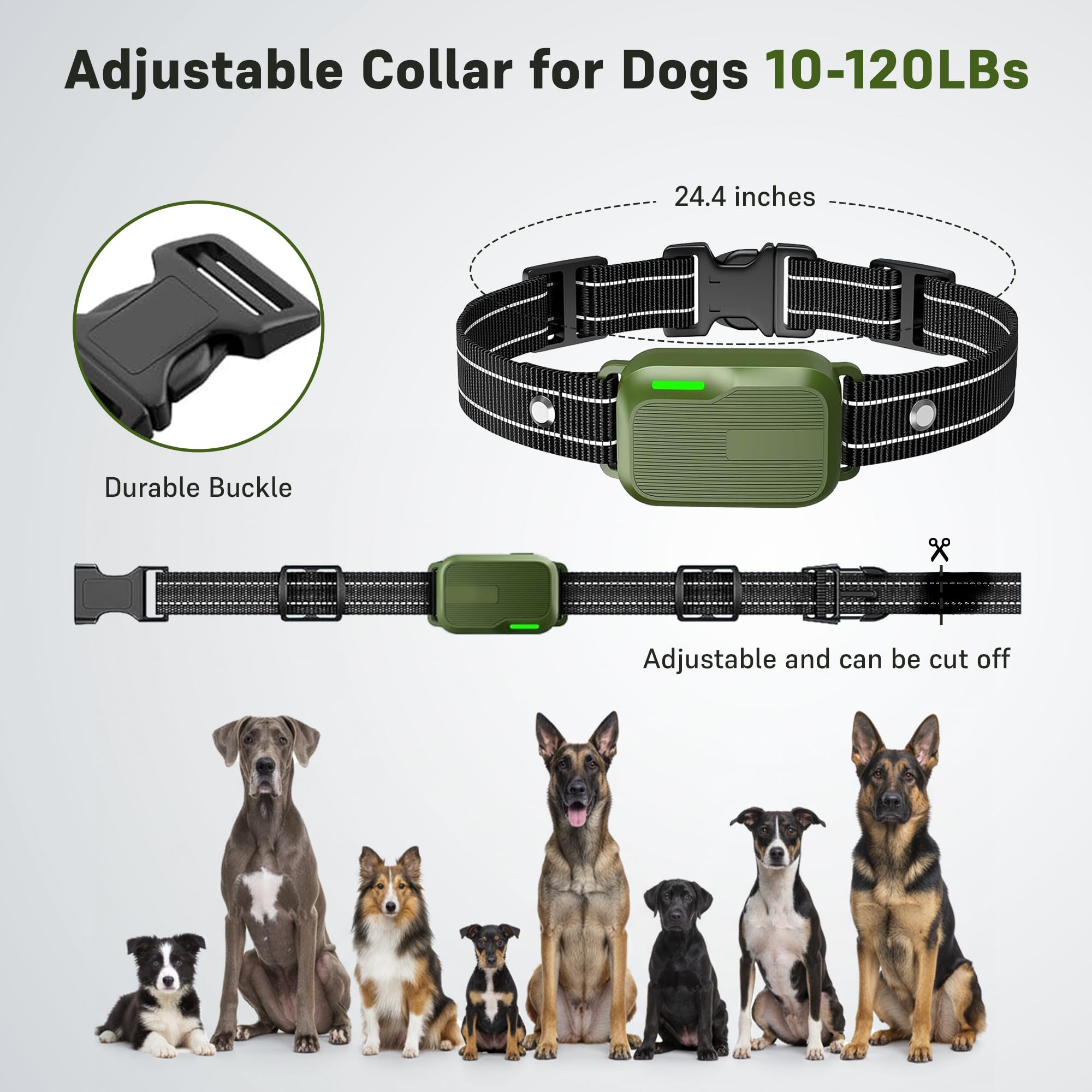 SafeShock USB-rechargeable collar with long-lasting battery for multiple sessions.