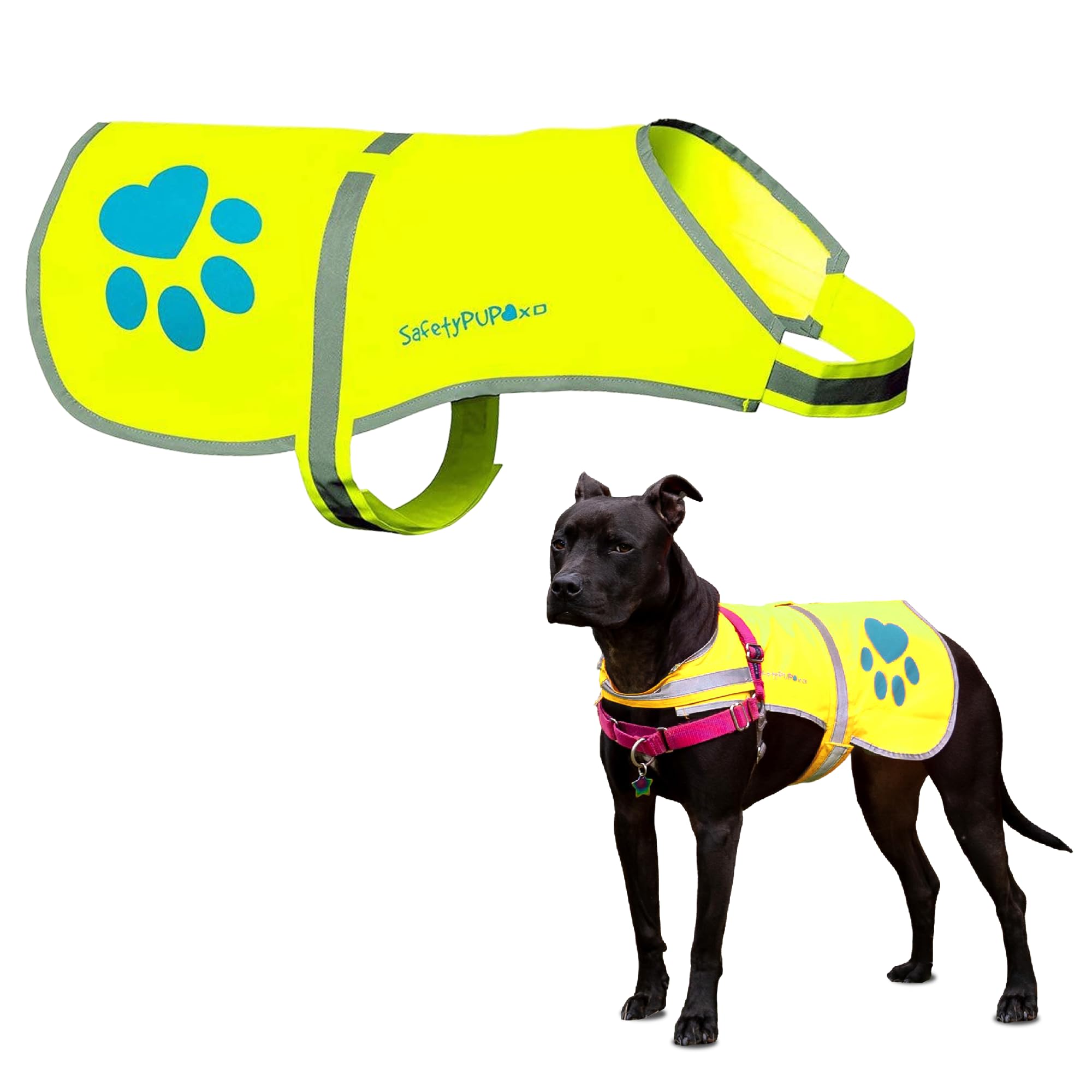 SafetyPUP XD dog vest front view shows high-visibility design for safer daytime walks.