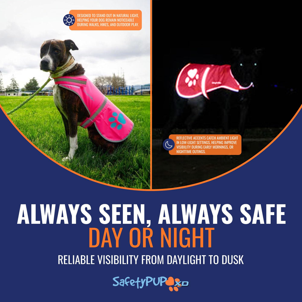SafetyPUP XD pink water-resistant design keeps pets dry in damp weather.