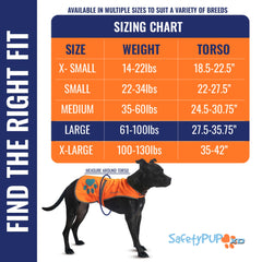 SafetyPUP XD hi-vis blaze orange vest enhances urban safety for drivers during walks.