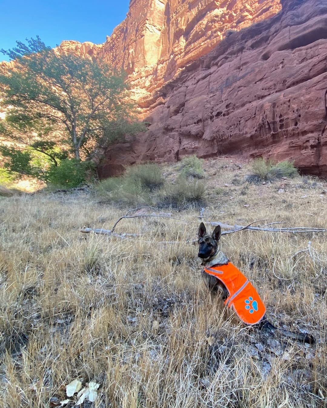 SafetyPUP XD lightweight design stays comfortable during outdoor adventures.