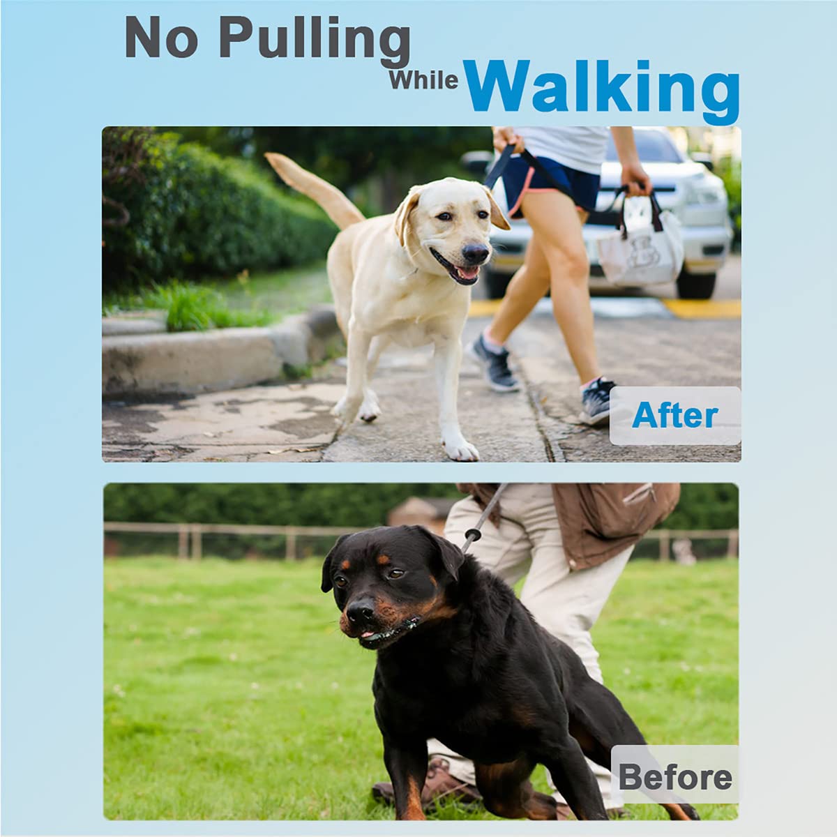 Safiman dog collar growth-fit with adjustable neck size for growing dogs