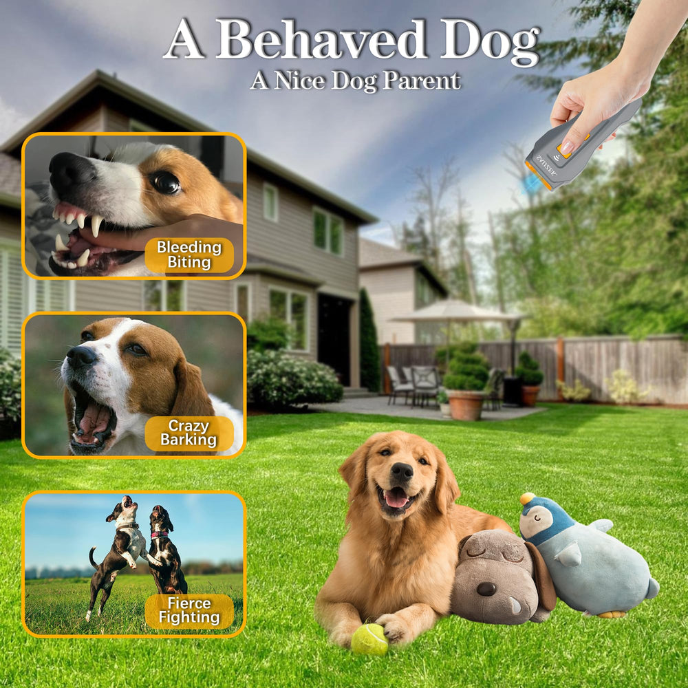 SAIJZEK Dog Trainer G2 hands-on use illustrates simple operation for quick results.