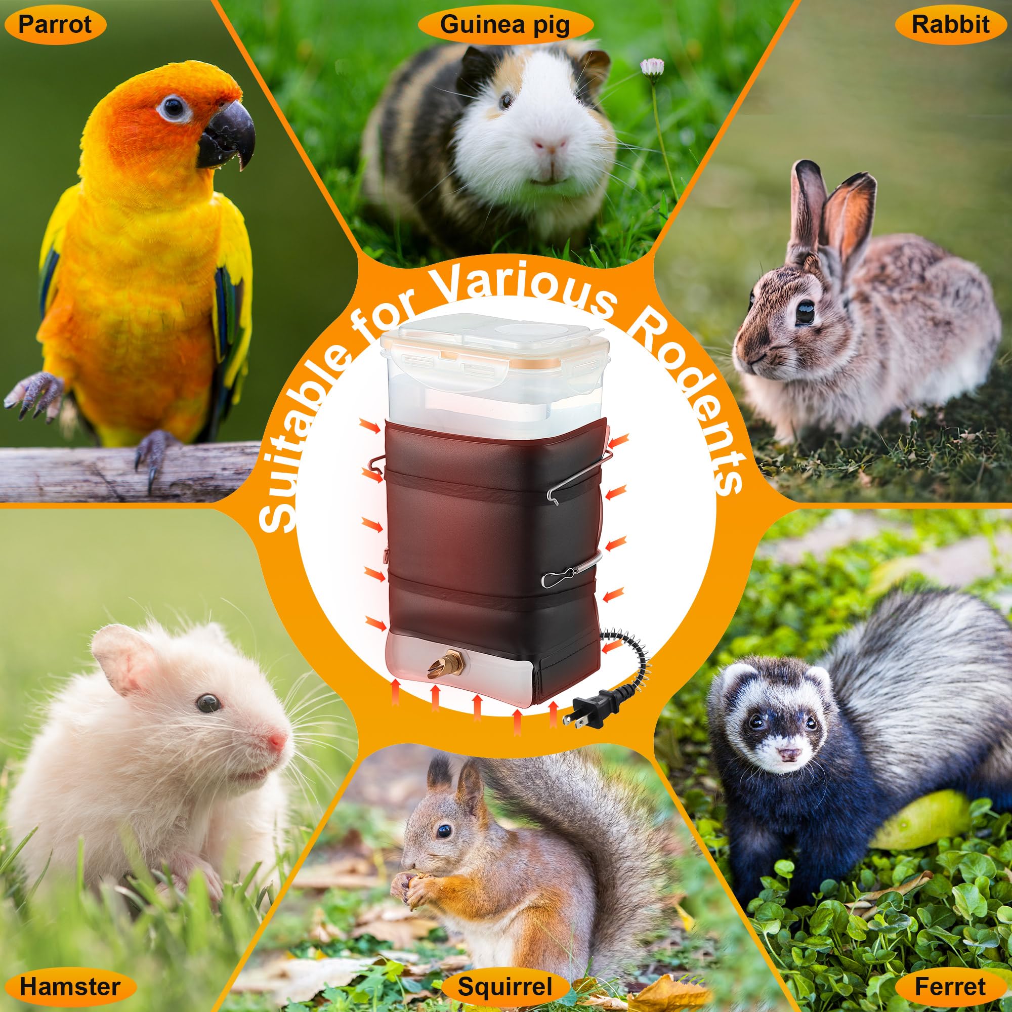 Saillong winter-ready waterer supports indoor and outdoor pet setups.