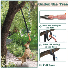 SailStart dog bungee tug toy tree setup enables outdoor tug sessions