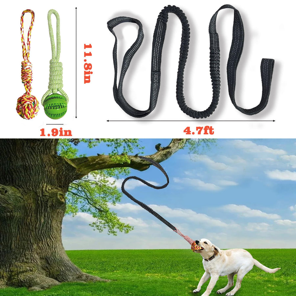 SailStart rugged elastic rope aids dynamic tug of war and energy release