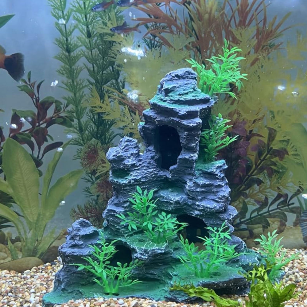 Saim Betta habitat with large cave supports exploration and rest.