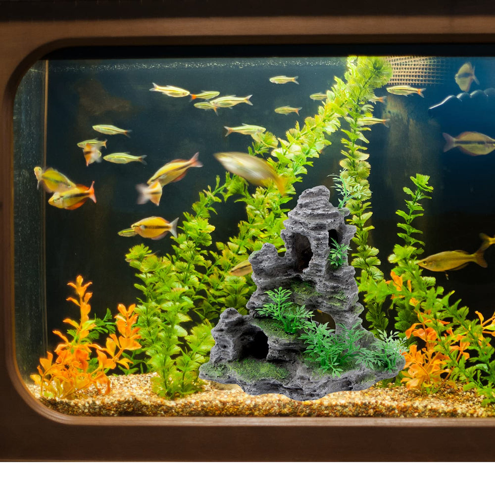 Saim Mountain cave hideout provides secure resting space for fish.