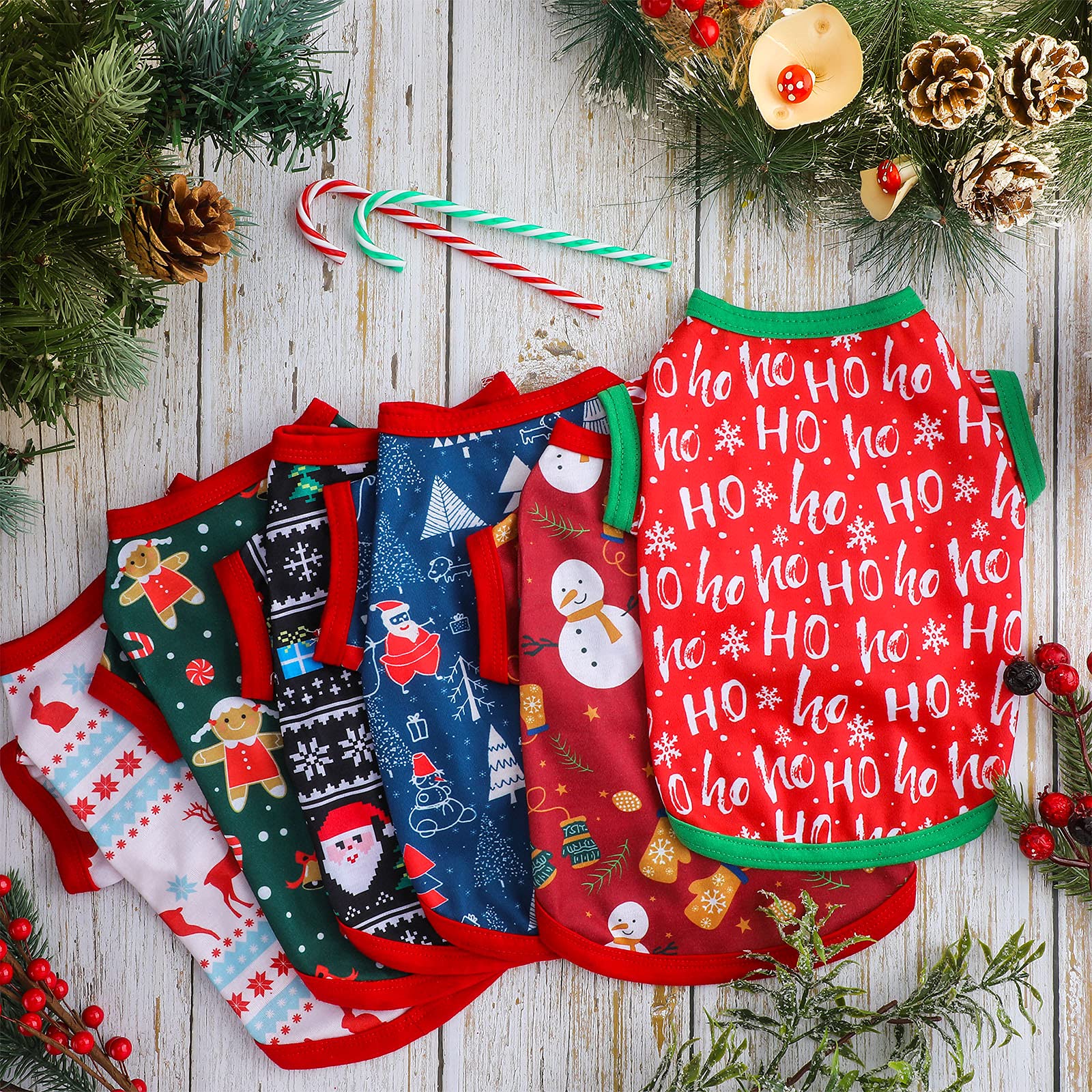 Saintrygo reindeer print showcases playful seasonal style for daily walks