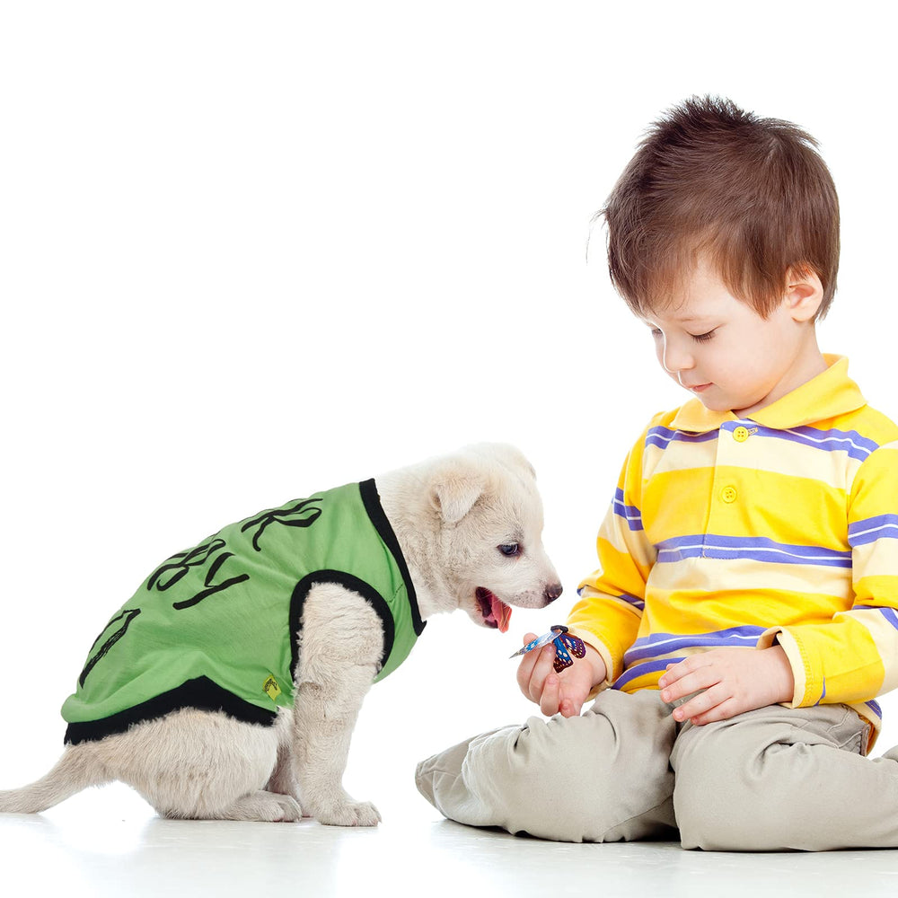 Saintrygo dog shirts model-walking outdoors