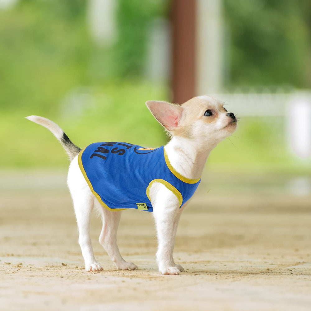 Saintrygo dog shirts packaging inside-view